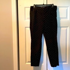 The Limited Dress Pant